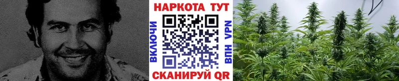 Сколько стоит Тольятти АМФ МДМА Галлюциногенные грибы Канабис Кокаин Гашиш Меф мяу мяу