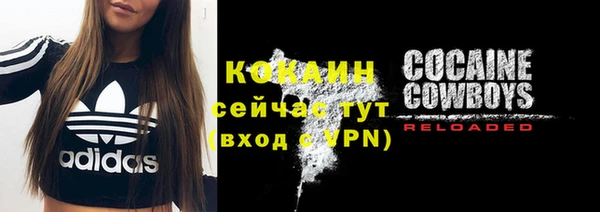 спиды Чекалин