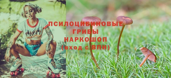 спиды Чекалин