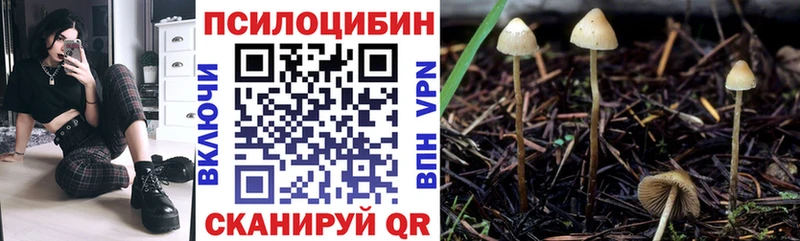 Псилоцибиновые грибы ЛСД  купить закладку  Тольятти 