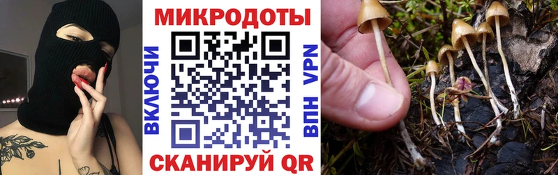 Галлюциногенные грибы GOLDEN TEACHER Тольятти