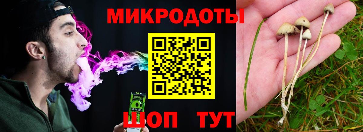 Тольятти  Галлюциногенные грибы мицелий  Галлюциногенные грибы мухоморы  Вход с VPN 